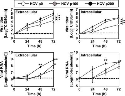 Hepatitis C virus fitness can influence the extent of infection-mediated epigenetic modifications in the host cells